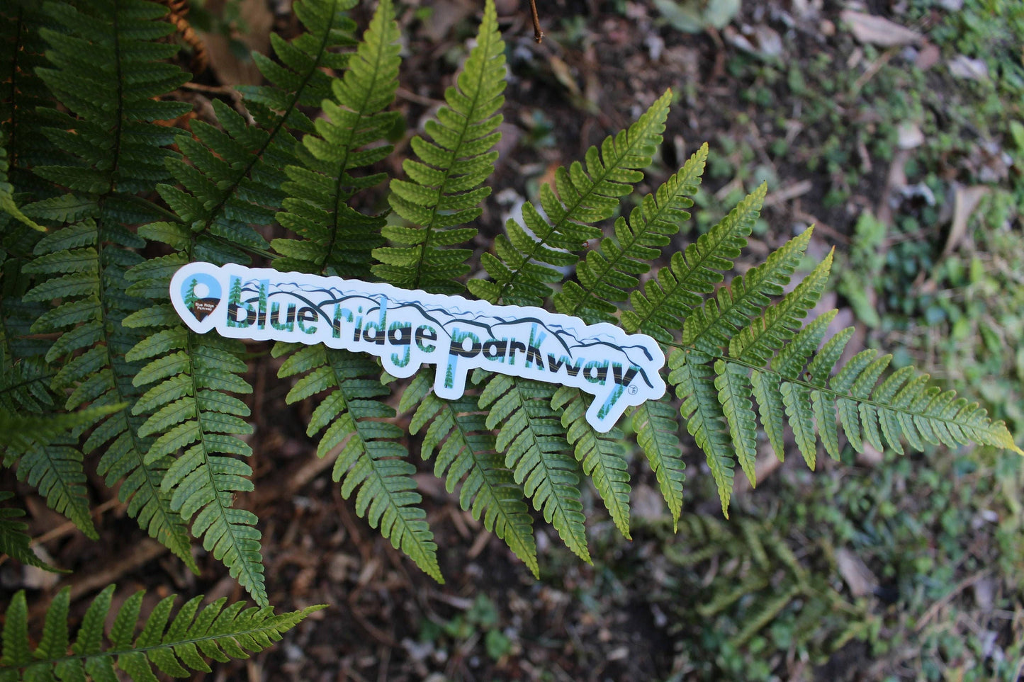 Blue Ridge Parkway Location Sticker
