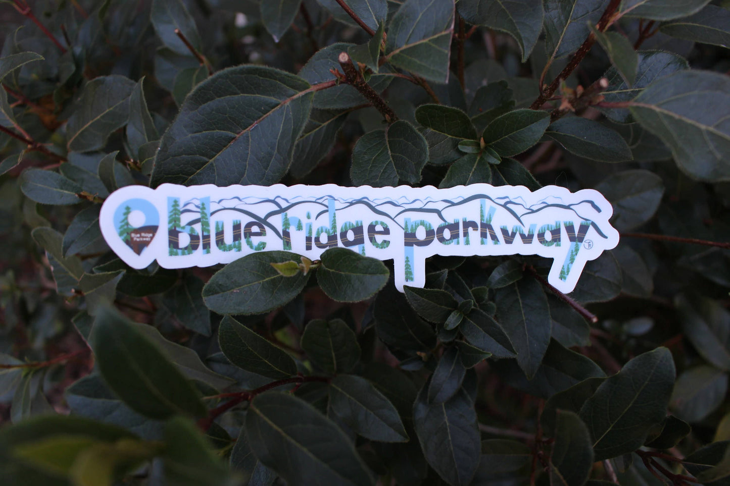 Blue Ridge Parkway Location Sticker