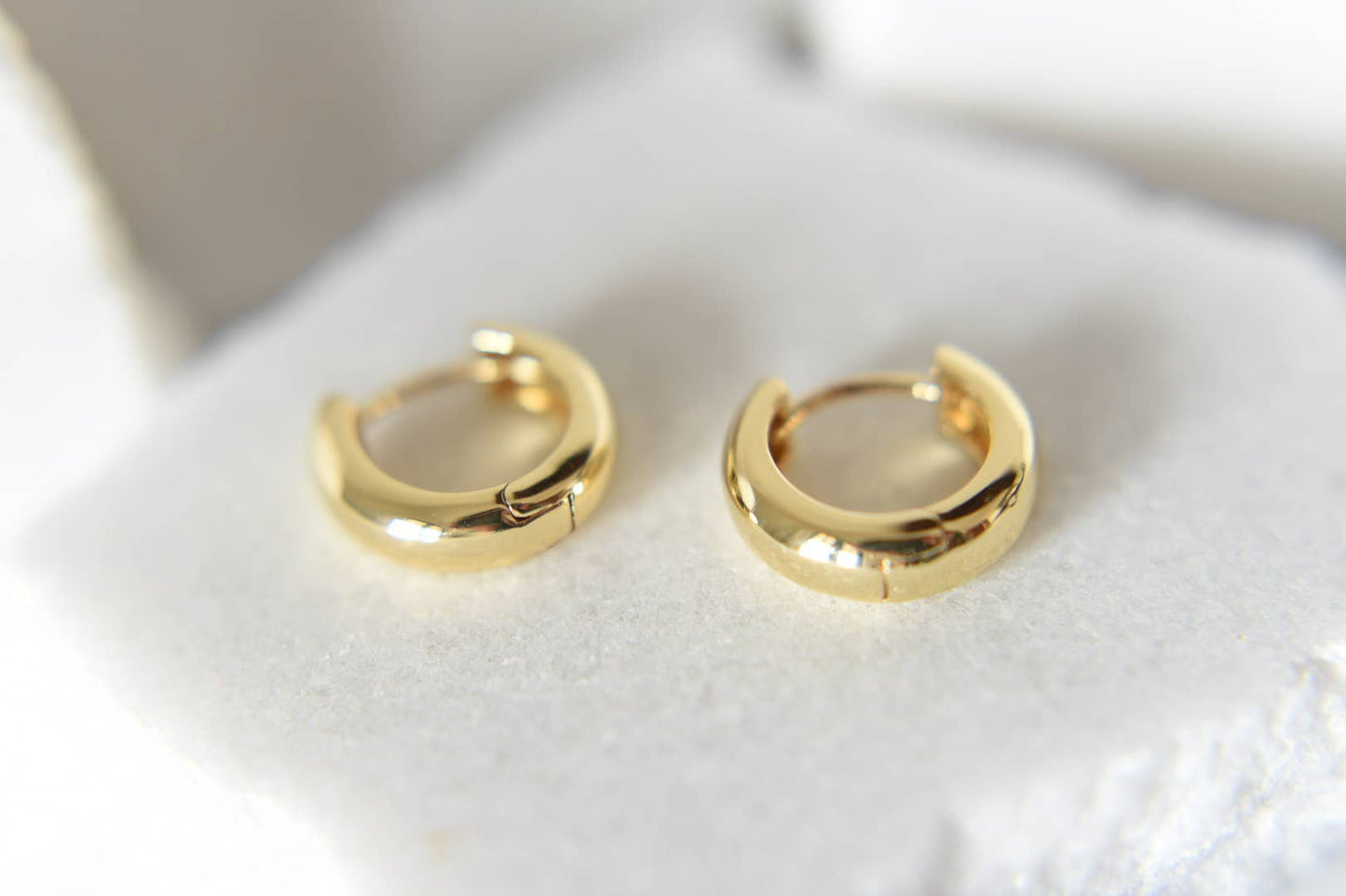 The Saranne 14k Gold Plated Chunky Hoop Earrings